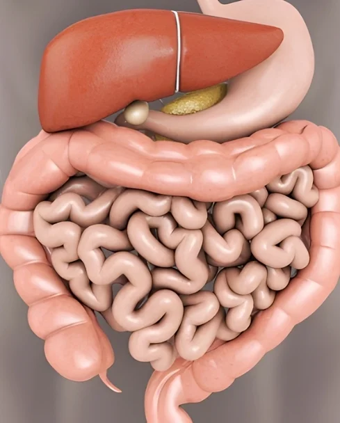 Peritoneal Surface Malignancies